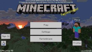 Minecraft 1.19 2