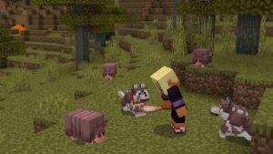 Minecraft 1.20.60 4