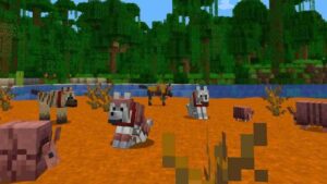 Minecraft 1.20.81 4