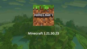 Minecraft 1.21.30.23 2