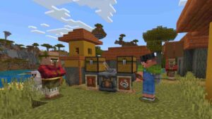 Minecraft 1.21.30.24 3