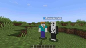 Minecraft 1.21.30.25 4