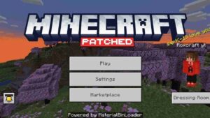 Minecraft Patched 2