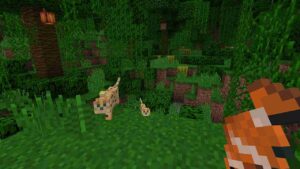 Minecraft Patched 3