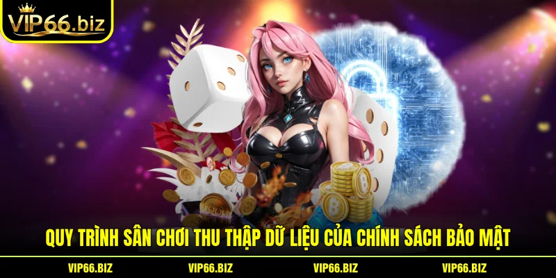 Quy trình sân chơi thu thập dữ liệu của chính sách bảo mật Quy trình sân chơi thu thập dữ liệu của chính sách bảo mật